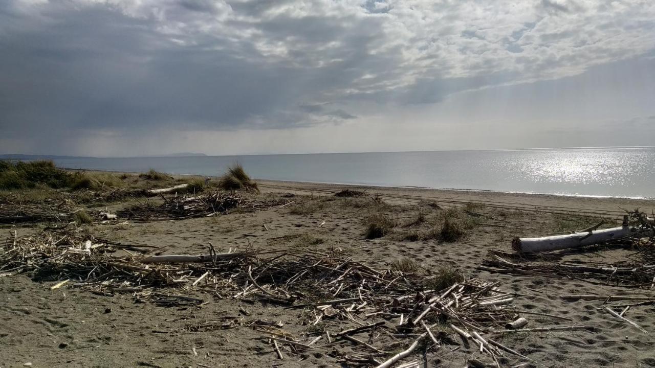 צ'צ'ינה Dimora Beach מראה חיצוני תמונה
